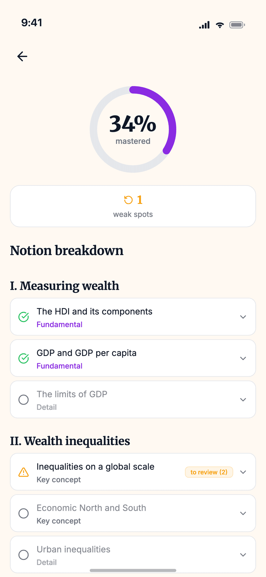 Wizidoo progress screen showing mastery by concept